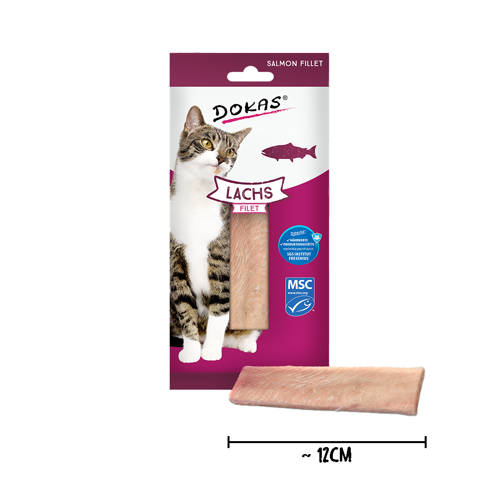Lachs Filet 22 g - DOKAS Lachs Filet 22 g - DOKAS